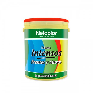 Látex Intensos Frentes y...